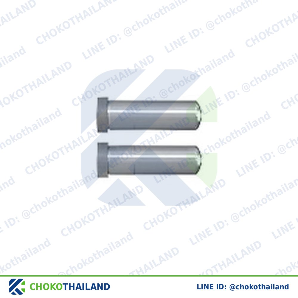 แองกูล่าพิน 10×50 | Precision Round-Head Angular Guide Pin 10×50
