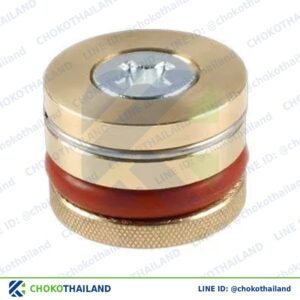 ปลั๊กอุดรูน้ำ(เหล็ก) 22 | Cooling Circuit Plug 22