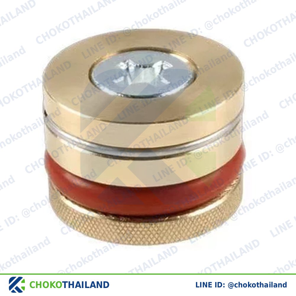 ปลั๊กอุดรูน้ำ(เหล็ก) 12 | Cooling Circuit Plug 12
