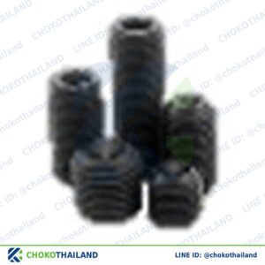 สกรูตัวหนอน M5*5 | Socket Screw M5*5