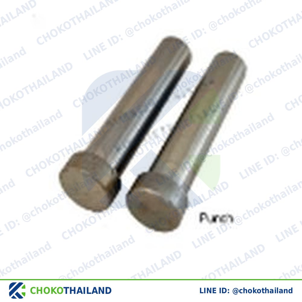 พันช์ตรง SKD11 10×8×L=100 | Straight Punches SKD11 10×8×L=100