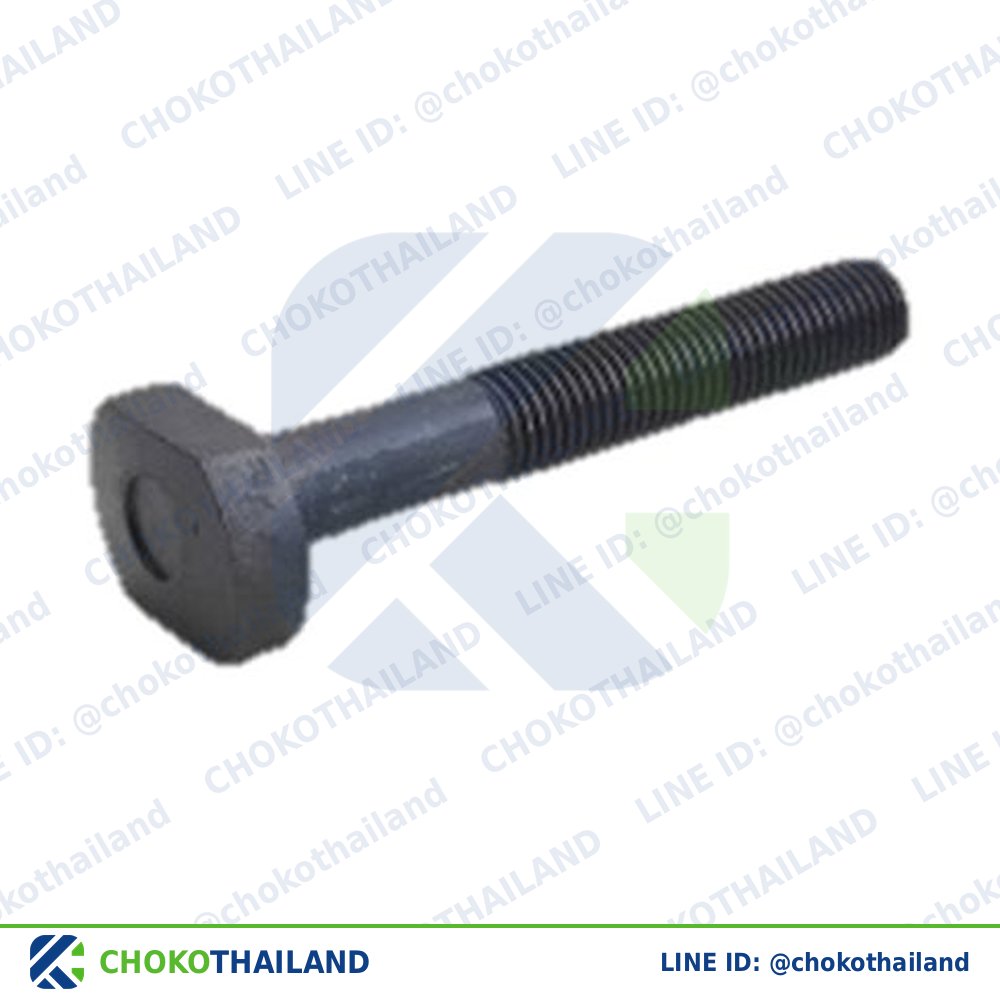 T/SCREW D12×L100 | T-Bolt D12×L100